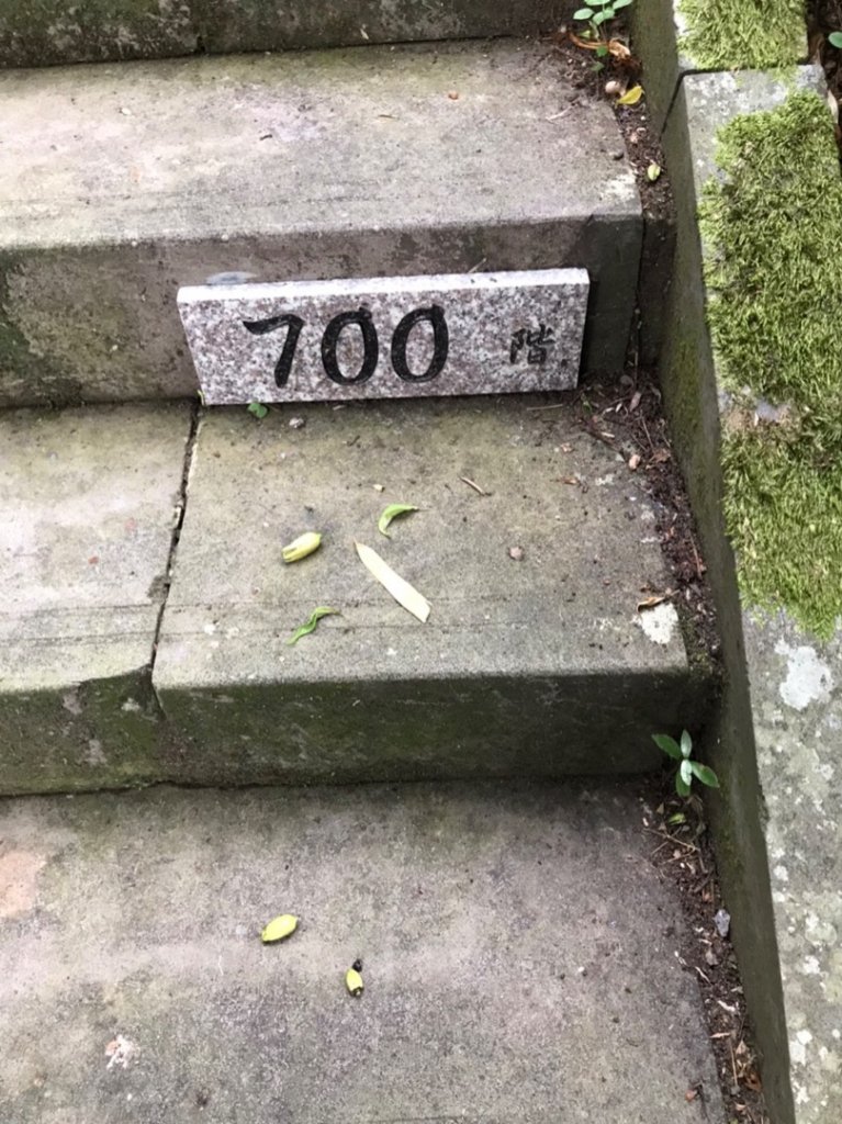 2020台北縱走第七段_995324