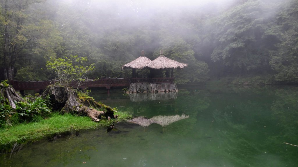 阿里山森遊區-神木步道_2536894
