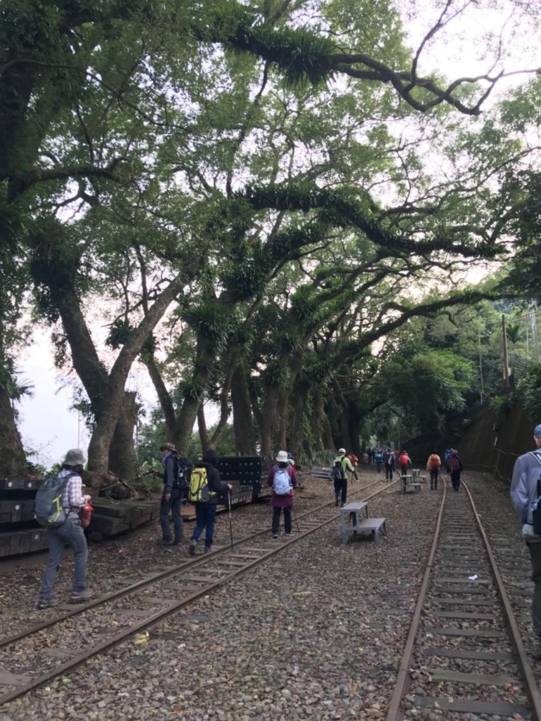 雲嘉七連峰之獨立山_252245