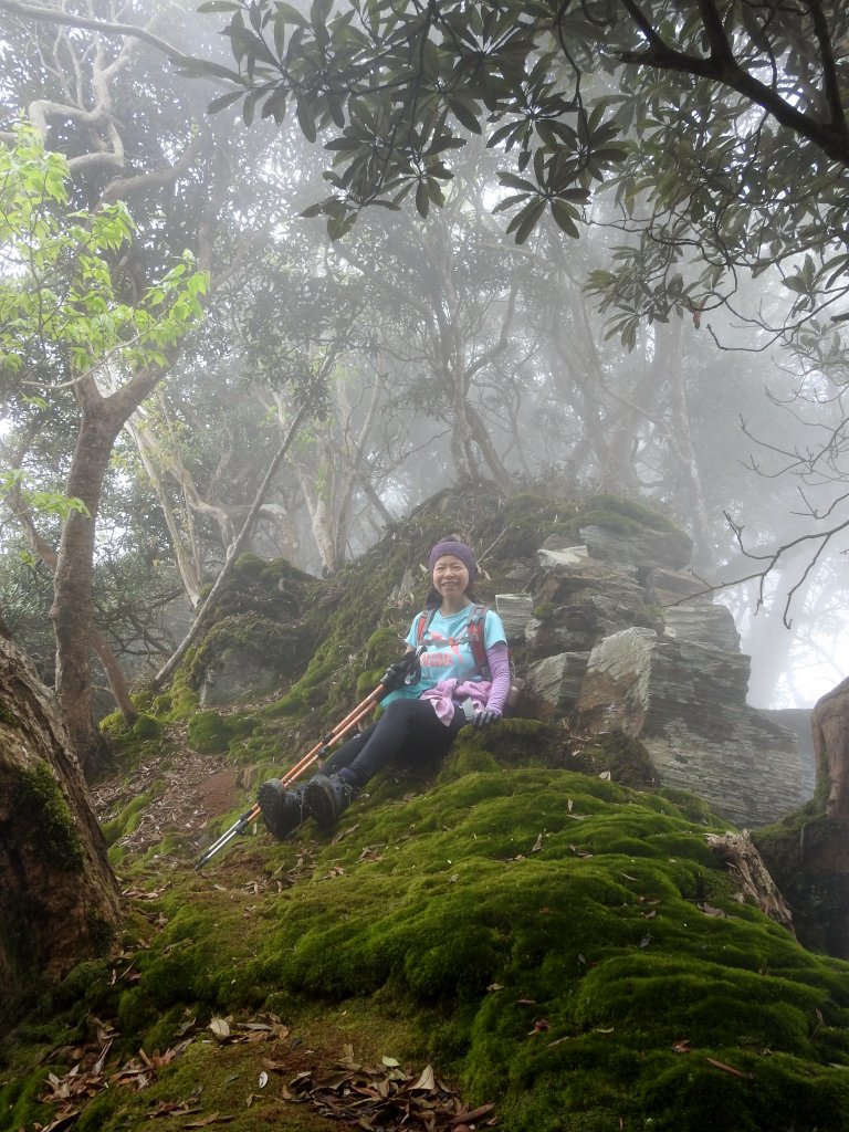 日湯真山+西大武山20200403_904069