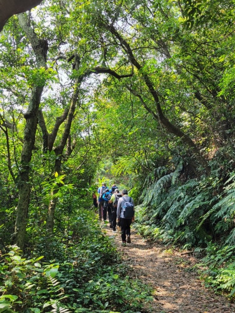 112.04.11 基隆天際線大縱走西段_2114566