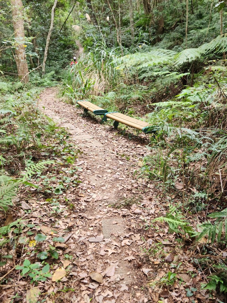 112/2/11芝生毛台山、屯野生炮台_2148014