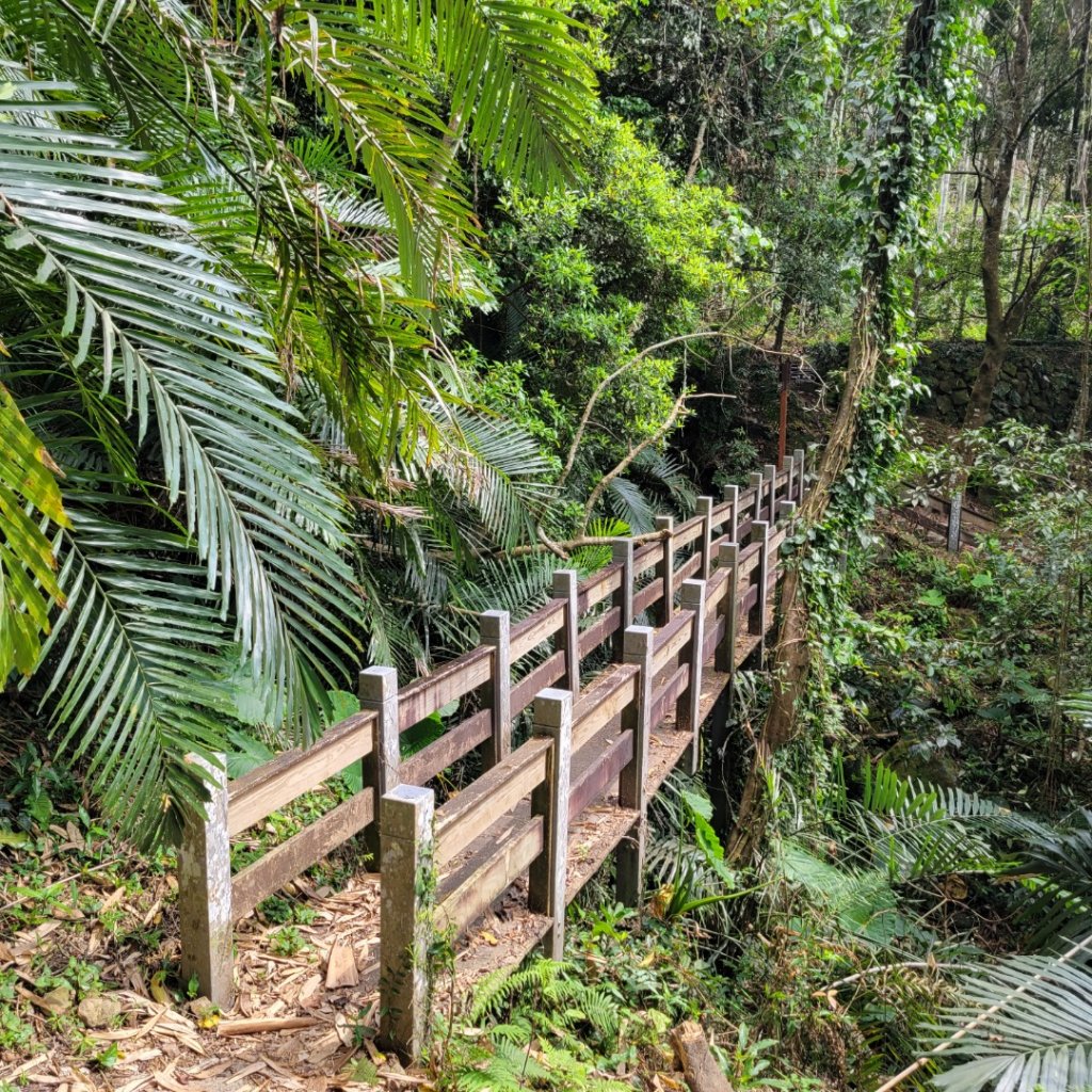 茄苳步道、峭壁雄風步道_1646695