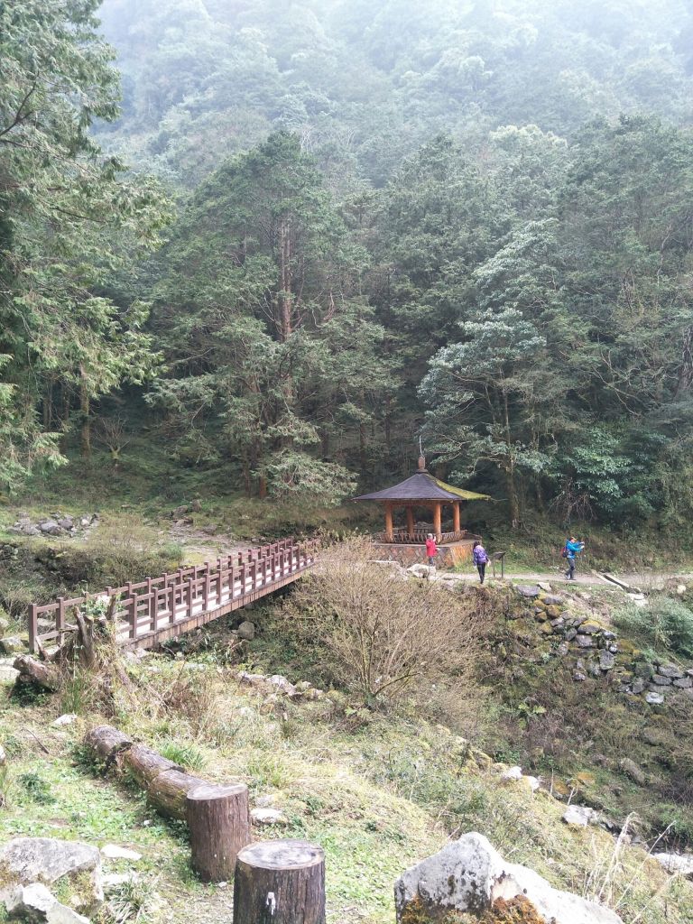 2018.03.17 郡大山麟趾山特富野_290705