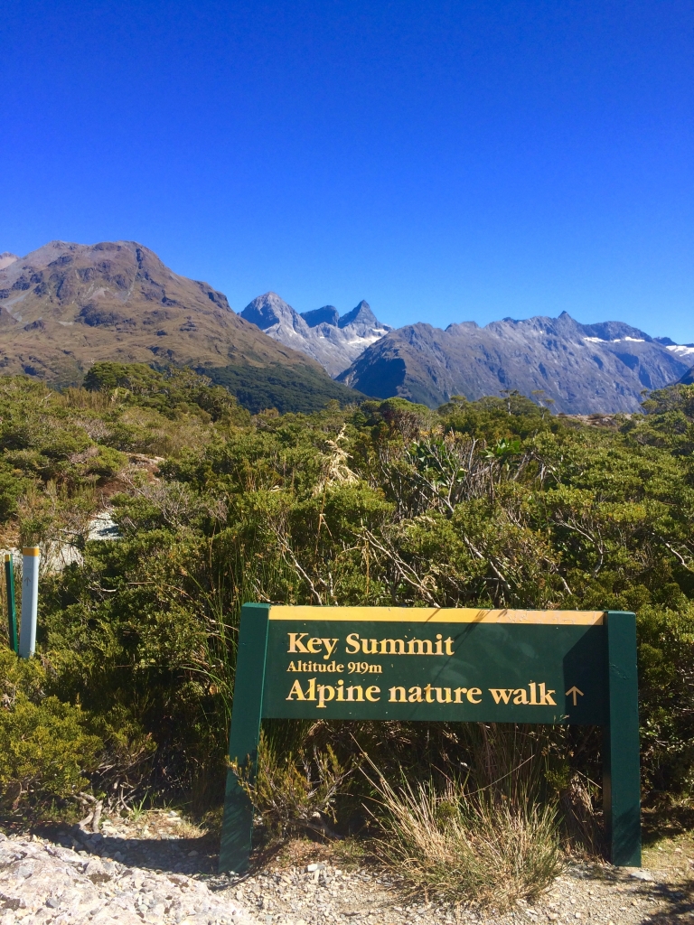 紐西蘭Key Summit _35539