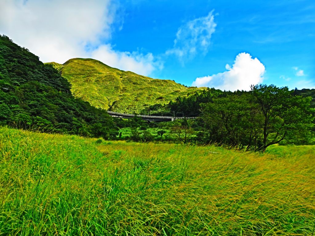 【心靈療癒】陽明山頂湖環狀步道_182875