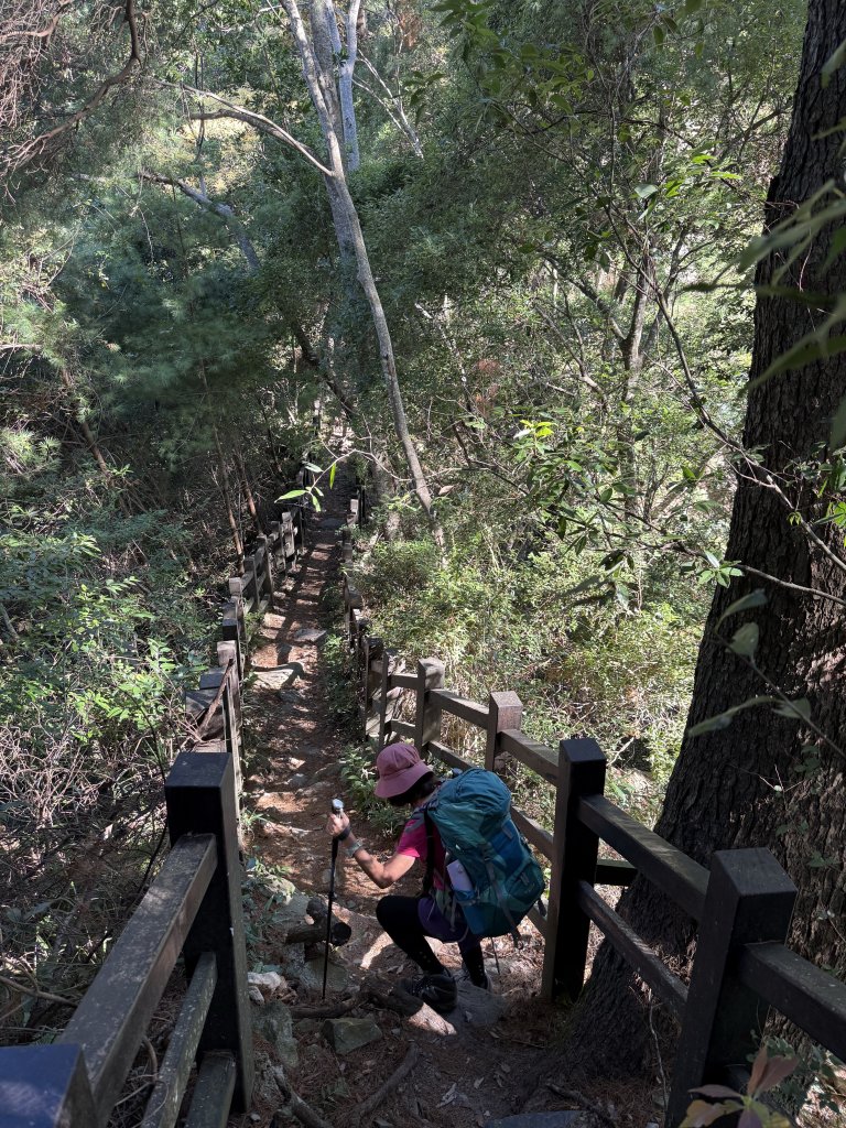 波津加山 20250914_2893368