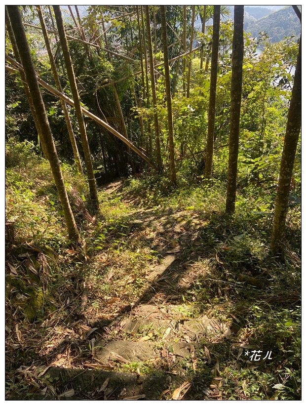 麒麟潭步道、尖子頂山(南投、鹿谷)_2665776