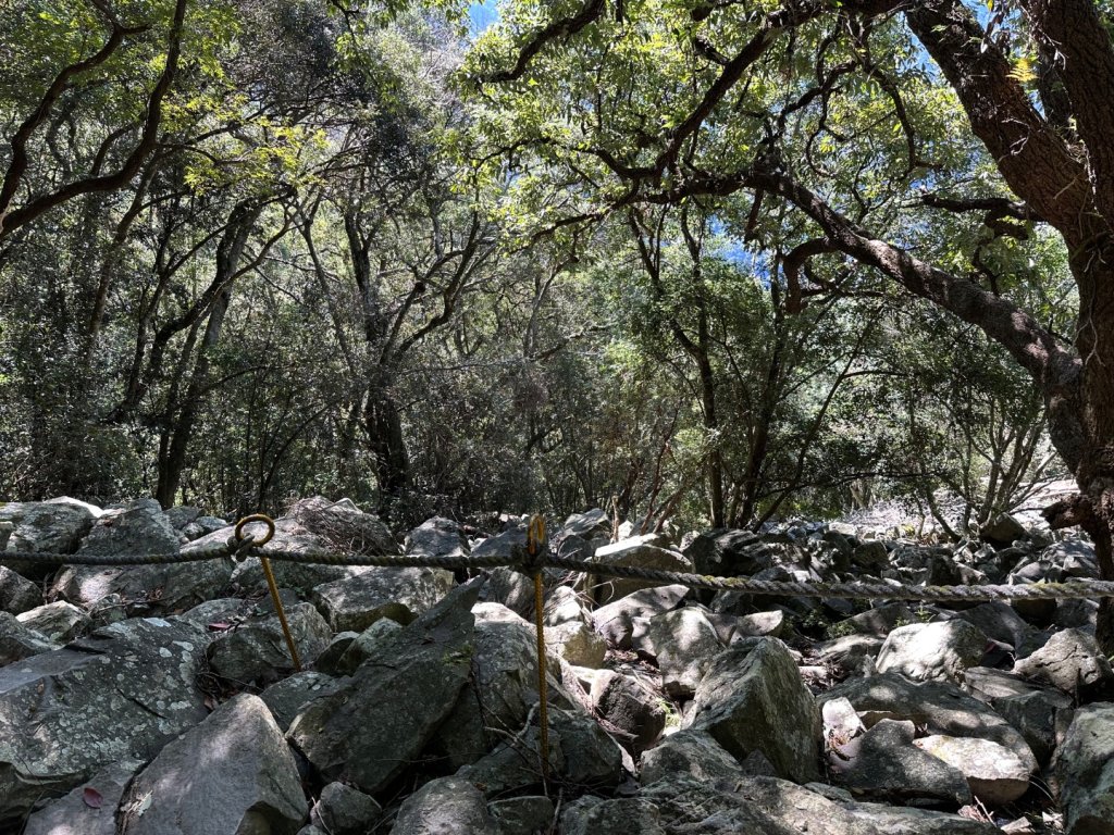 波津加山_2845981