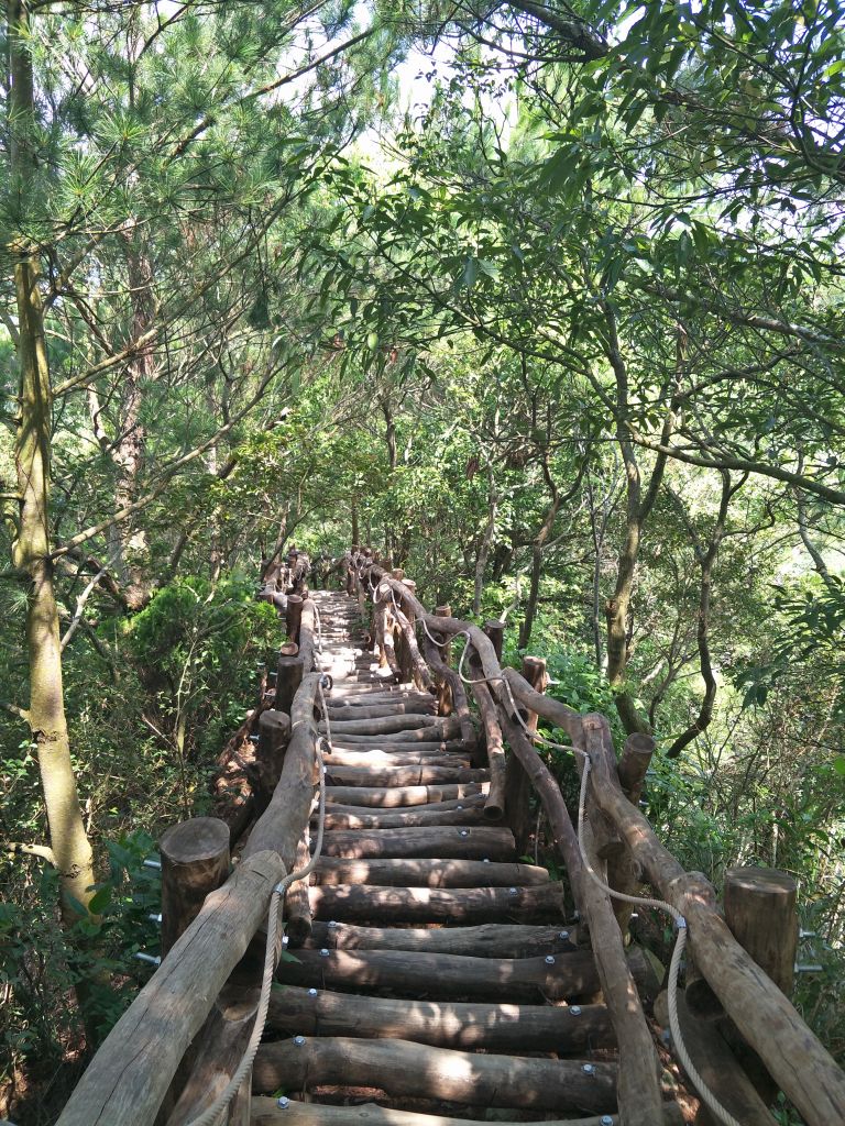 大坑4號步道&頭嵙山_374874