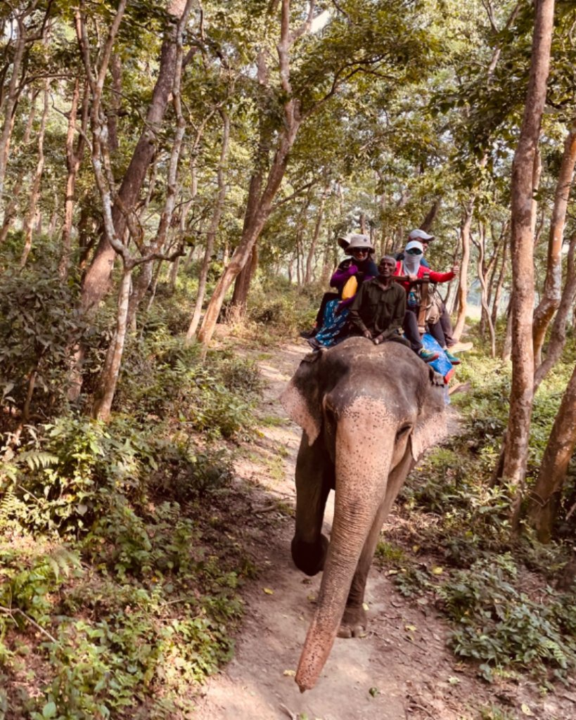 尼泊爾奇旺國家公園4天三夜_2788889