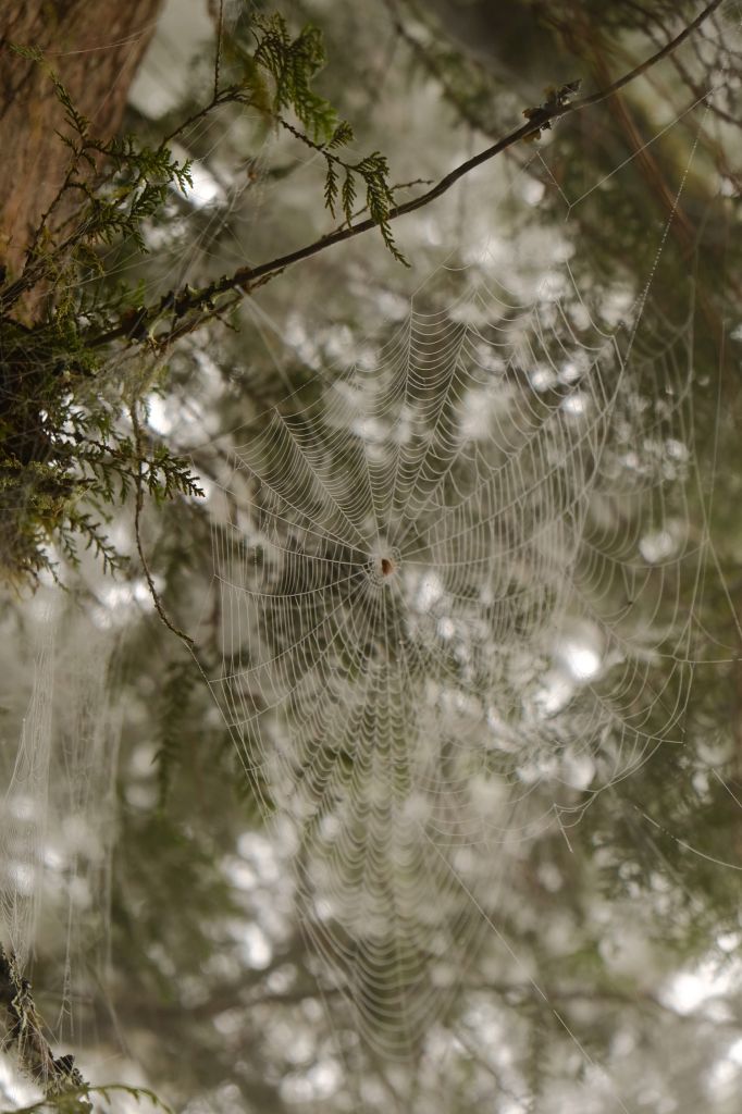 見晴不見晴~走入雲霧畫境之中_352569