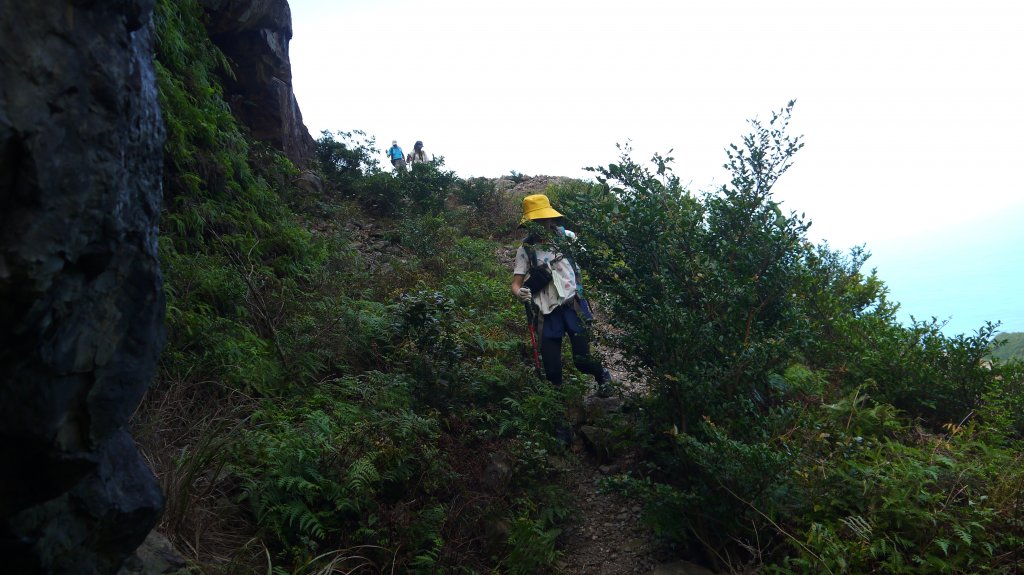 金瓜石黃金洞登山健行趣(郊山)_1519009