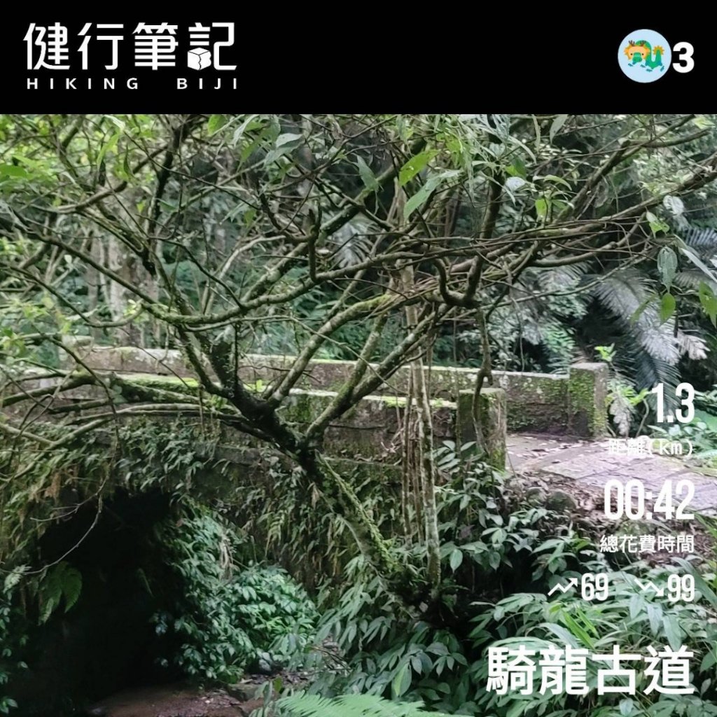 2022森遊竹縣 皮皮獅同樂會  新竹騎龍古道 20220703_1752926