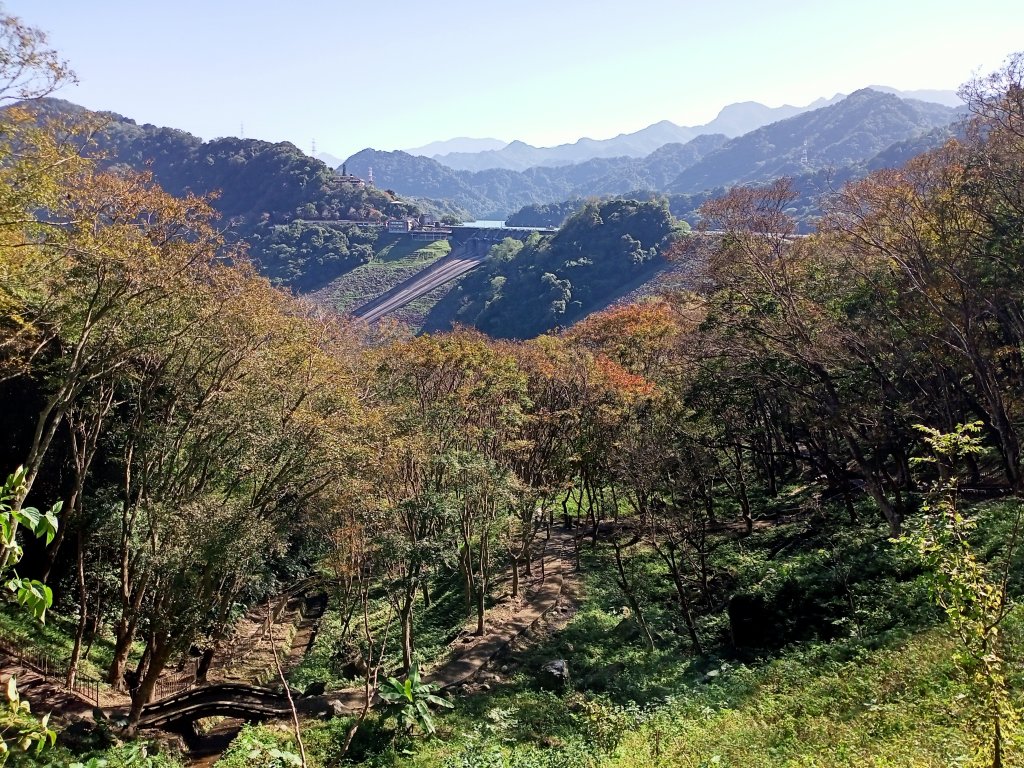 桃園大溪石門水庫楓林步道、齋明寺古道【南山神壽任務】_1963949