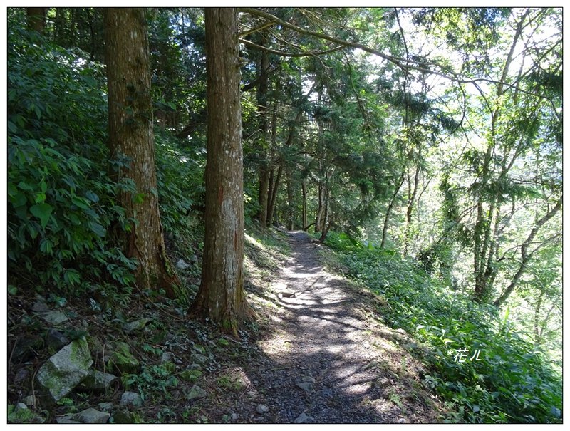 谷關/佳保台山登山步道_999850