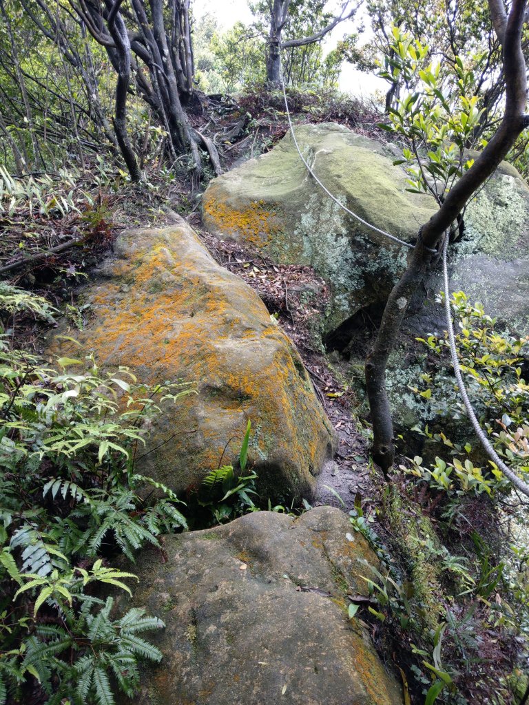 石牛山(小百岳)迷霧中登頂及陡坡探險之旅_903832