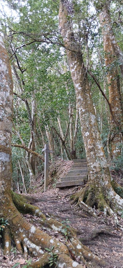 2025 1/27 石壁山_2700019