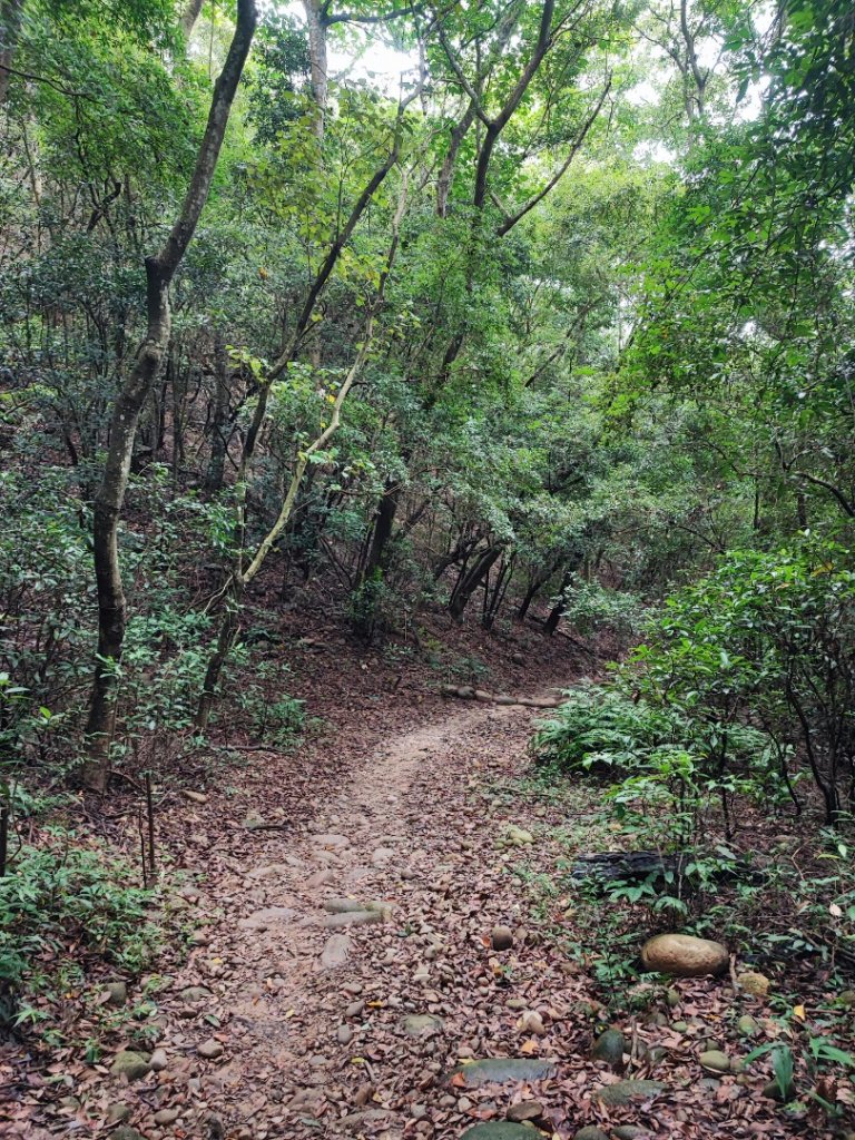 火炎山-小百岳#35-苗栗縣三義鄉_2246341