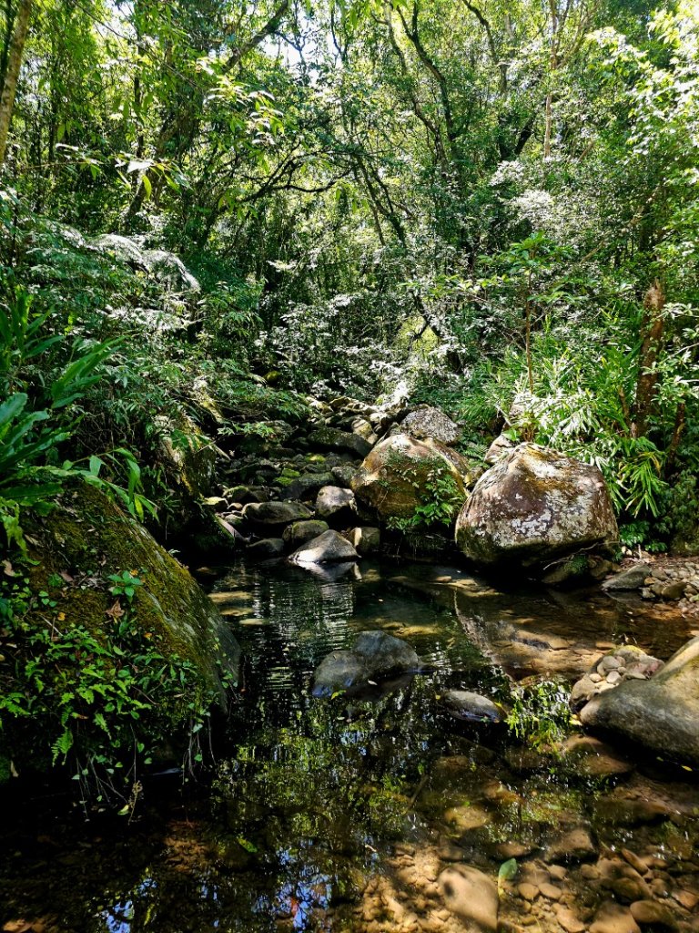 中坑古道(淡蘭中路)-新北市雙溪區_2886249