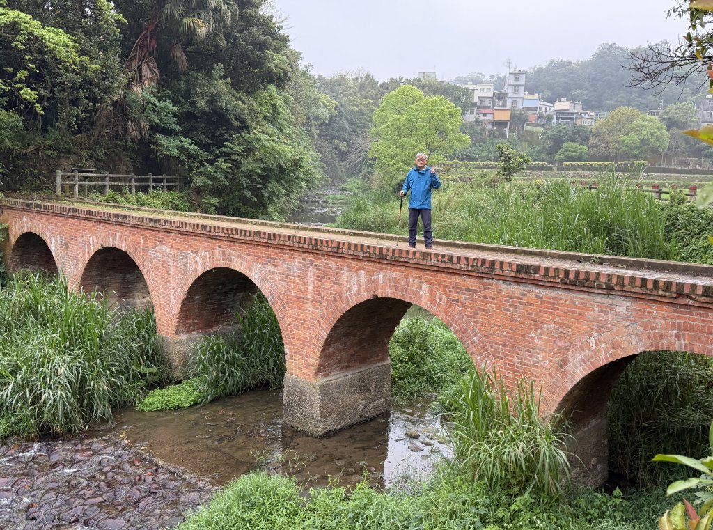 [樟之細路_第一大段RSA01] 2026_0329 大平紅橋封面圖