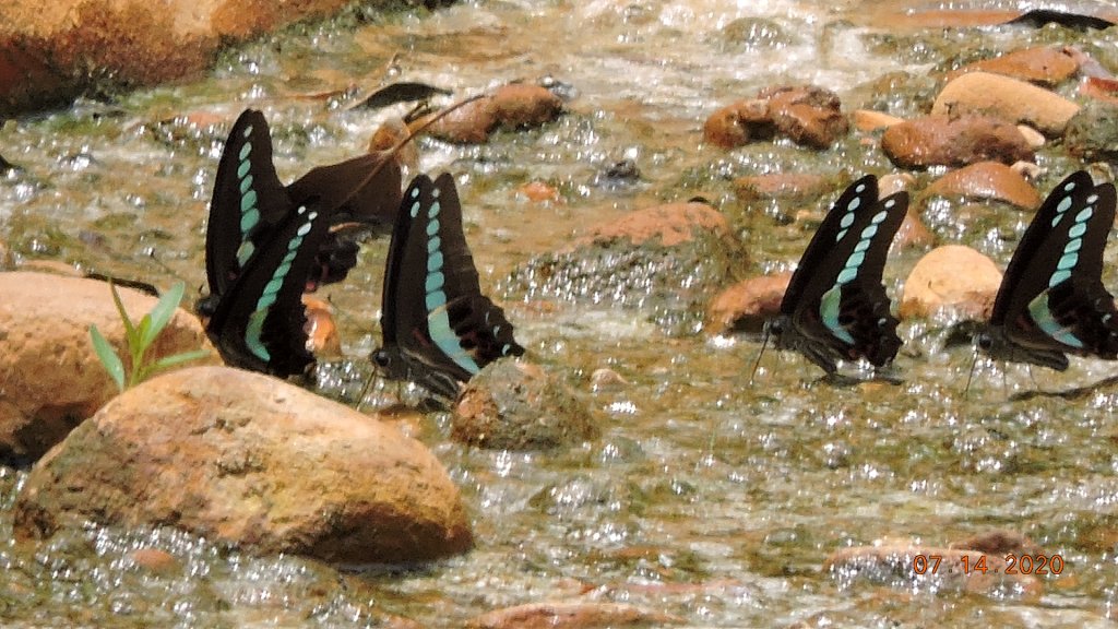 就是喜歡這個藍天白雲的FU_1032938