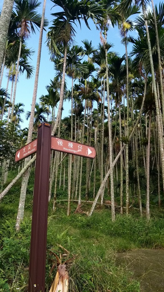 220820-後棟仔山（挑筍古道）_2160795