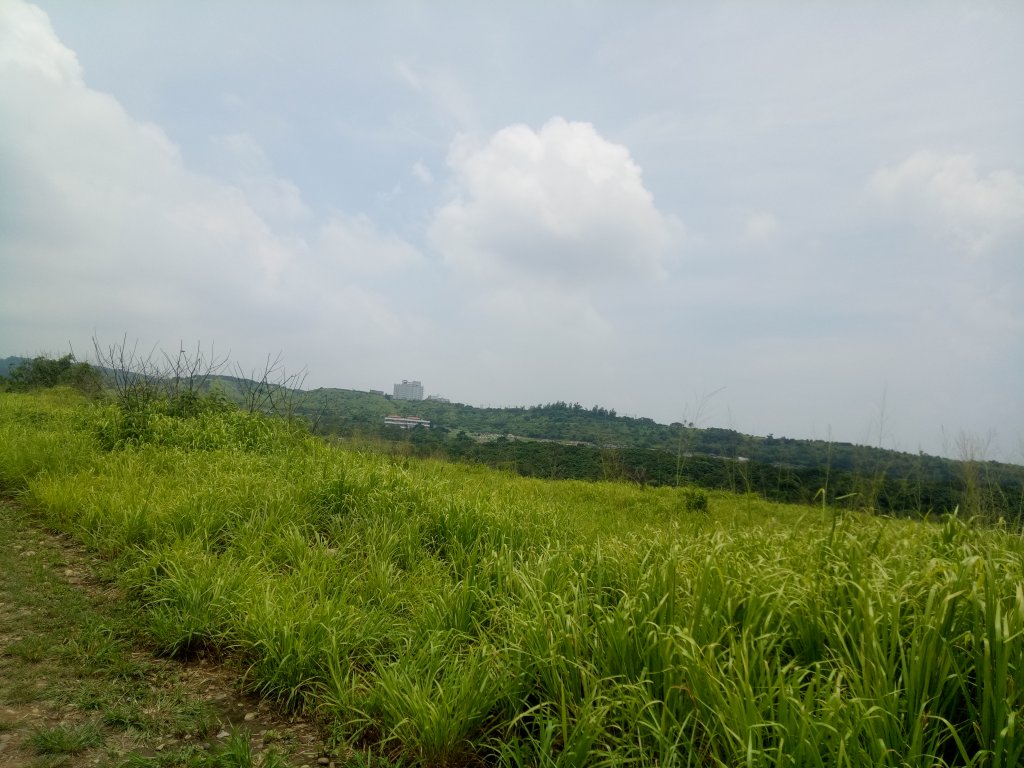 大肚知高圳步道上學田山+沙田山+大肚山_1899098