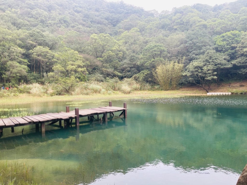 1131225新山夢湖封面圖