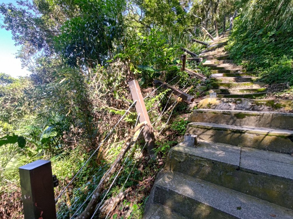 華山4-2號步道上雲嘉連峰_2579321