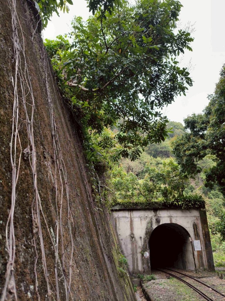 四大天王山縱走獨立山(雙溪路線)_2754476