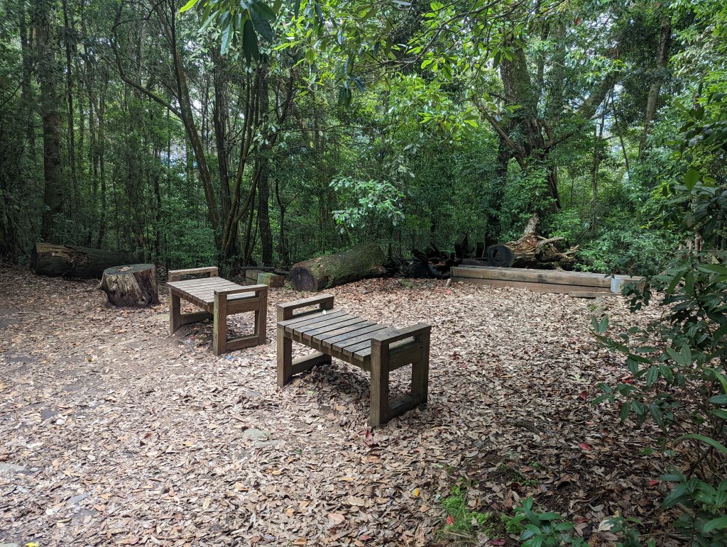 谷關七雄：八仙山_1744153