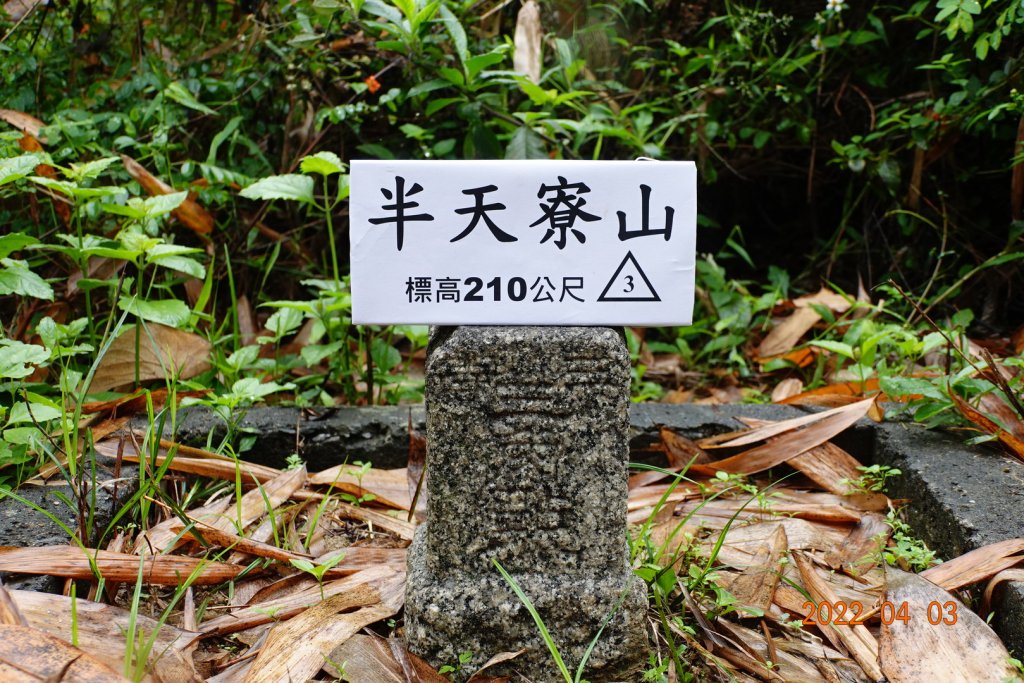 嘉義 中埔 半天寮山封面圖