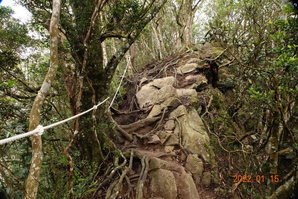 新竹 尖石 內鳥嘴山_1581172