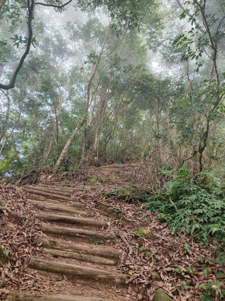 馬那邦山_2666834