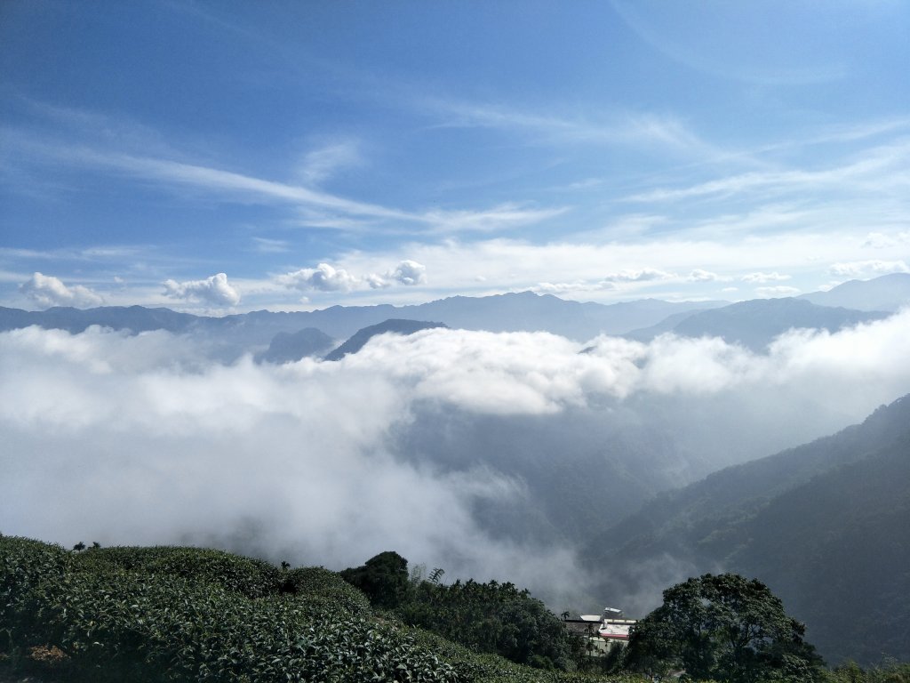 2018 11 22 挑筍古道(大尖山、後棟仔山步道)_463730