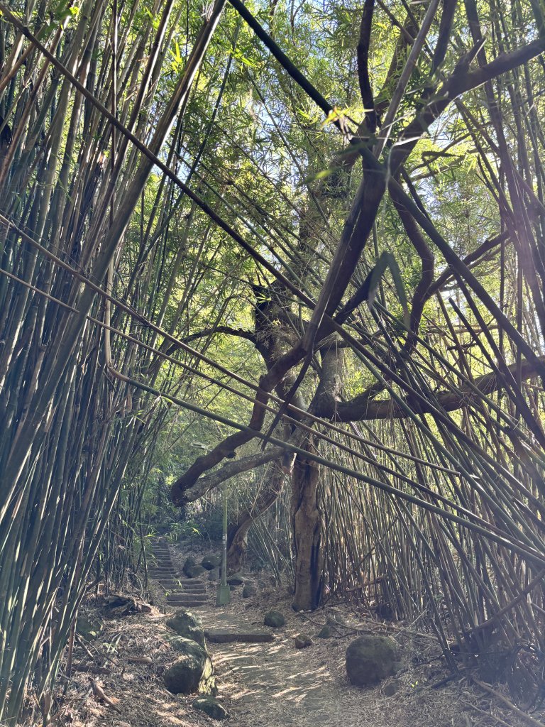 面天山、向天山、向天池_2921024