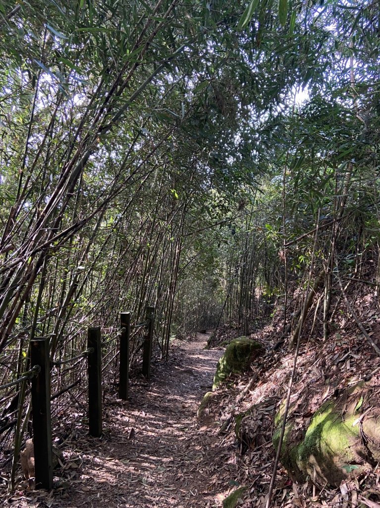 馬那邦山-珠湖登山口來回_2378428