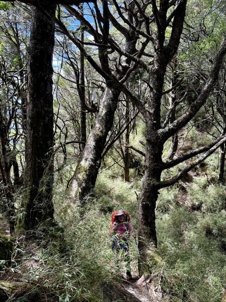 觀雲山莊經小完美谷上畢祿山O繞_2917199
