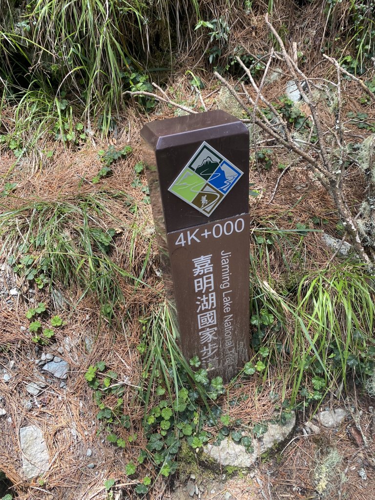 2022/06/02-2022/06/03(兩天一夜-嘉明湖/向陽山/三叉山)_1728584