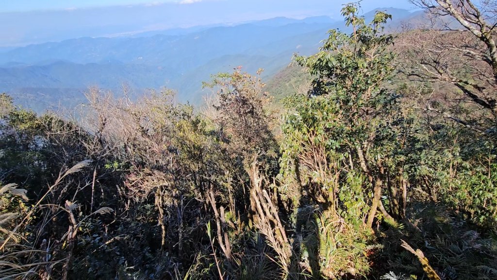 【北插天山】福山上北插天山(整理山徑架繩索布條完工)_2689853