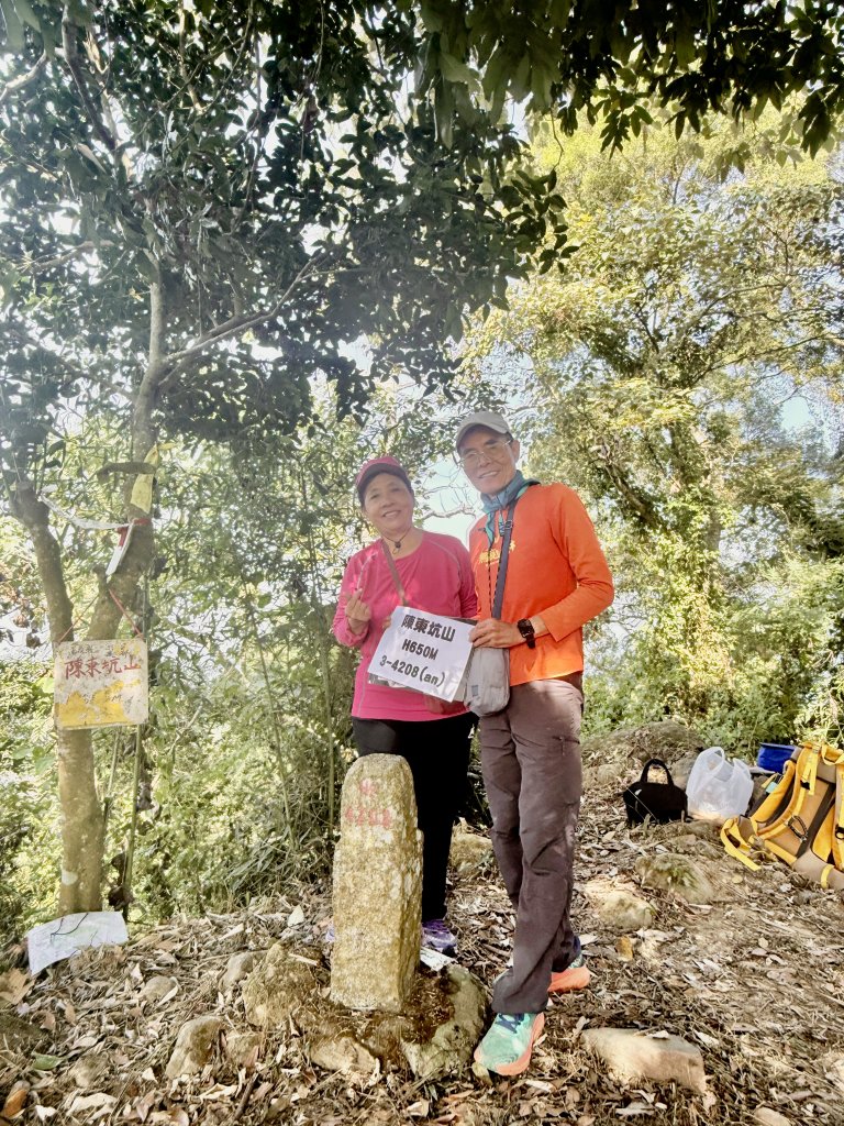 再訪八通關社寮古道登陳東坑山    2025.11.25_2946119