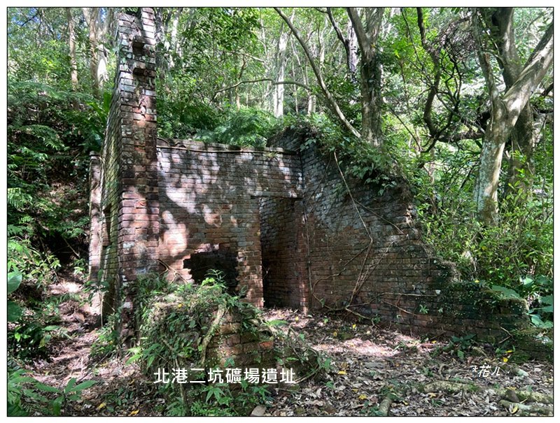 金龍湖、鷹石尖、老鷲尖、內溝山 O型一圈_2966668