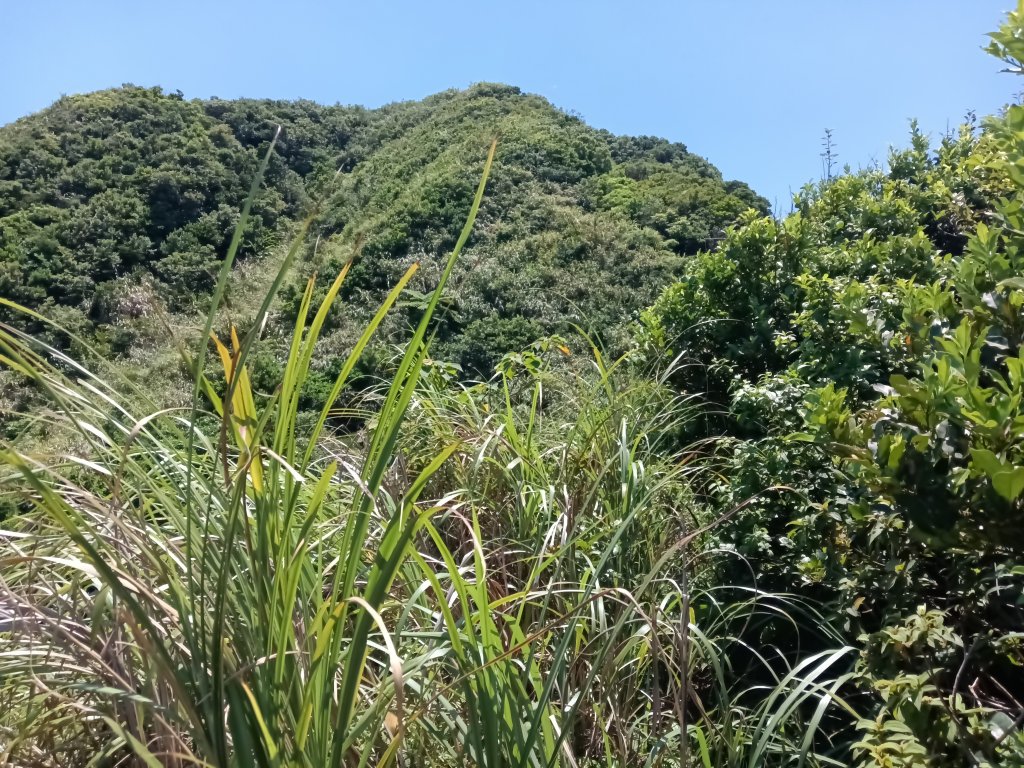 瑞芳區海園古道+鼻頭港稜+鼻頭山稜O型_2872795