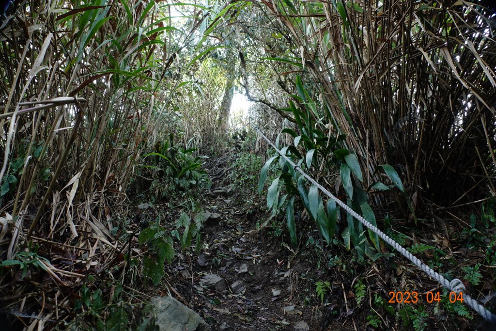 屏東 瑪家、泰武 真笠山、鱈葉根山、日湯真山_2103078