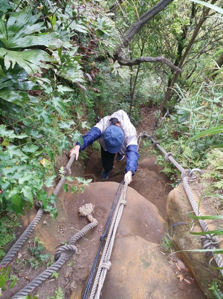 平溪中央尖登山步道_303379