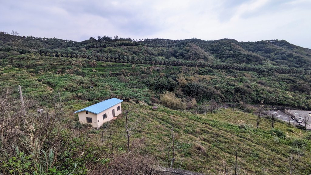 石門茶山步道_2396502