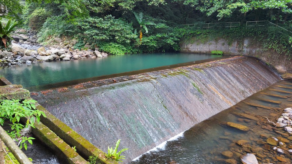 111/07/02陽明山鹿角坑步道、楓林瀑布_1754049