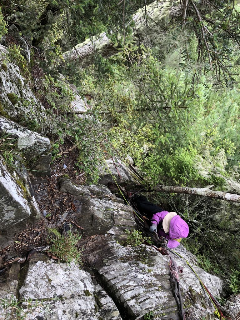 戒茂斯上新康下瓦拉米_655030