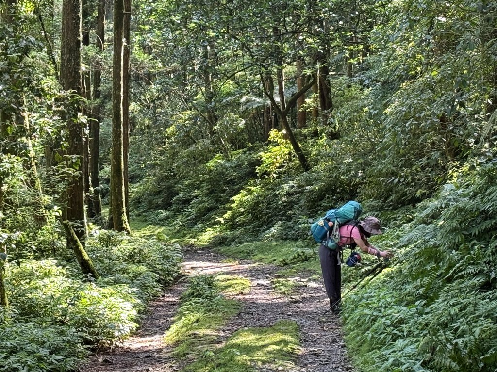 淡蘭古道 中路 全段 三日 2025/05/31~06/02_2811000